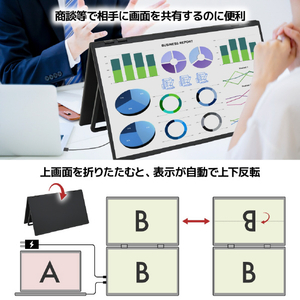 サンコー 23．8インチ上下2画面拡張デュアルモニター ブラック DMBG25HBK-イメージ12