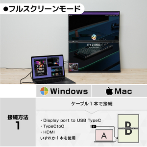 サンコー 23．8インチ上下2画面拡張デュアルモニター ブラック DMBG25HBK-イメージ9