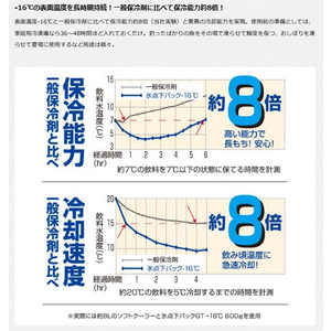 ロゴス 氷点下パックGT-16℃ L F497191-81660613-イメージ2