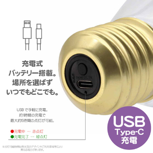JTT かわいい電球型イルミネーション FunnyNeoBulb ファニーネオンバルブ ハート JTNBULB-HRT-イメージ9