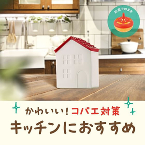 アース製薬 コバエがホイホイ 赤い屋根のおうち FC074TF-イメージ2