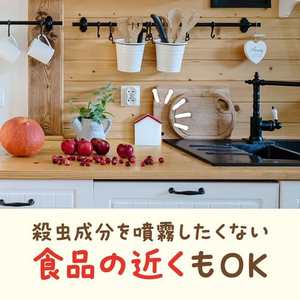 アース製薬 コバエがホイホイ 赤い屋根のおうち FC074TF-イメージ3