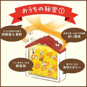 アース製薬 コバエがホイホイ 赤い屋根のおうち FC074TF-イメージ4