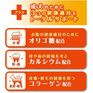 ペティオ 鶏まろ 総合栄養食 半生ごはん 1～6歳の成犬用 600g FCE536K-W14553-イメージ5