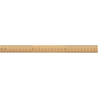 新潟精機 竹尺 快段目盛 30cm FC707NJ-BR-30CKD