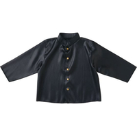 アーテック ソフトサテン 学ラン FCE172V-19358