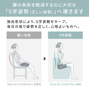 MTG Style Dr．CHAIR Plus Styleシリーズ ブラウン BS-DP2244F-B-イメージ2