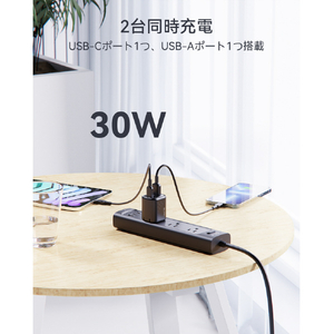 VOLTME Revo 30 Duo (C+A) 充電器 ブラック V2097-イメージ10