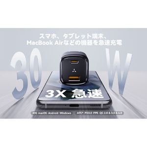 VOLTME Revo 30 Duo (C+A) 充電器 ブラック V2097-イメージ12