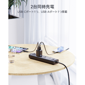 VOLTME Revo 30 Duo (C+A) 充電器 ブラック V2097-イメージ3