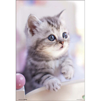 ビバリー おはよ♪ BV300034ｵﾊﾖ