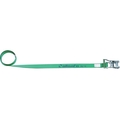 オールセーフ ベルト荷締機 ラチェット式ラウンドタイプ(軽荷重) FC490GY-4794931