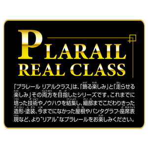 タカラトミー プラレール リアルクラス 113系近郊電車(JR東日本・横須賀色) PLAﾘｱﾙｸﾗｽ113ｹｲﾖｺｽｶｼﾖｸ-イメージ12