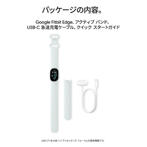 Fitbit Google Fitbit Edge Champagne Goldアルミケース/Canyon アクティブバンド GA11586-AU-イメージ12