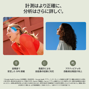 Fitbit Google Fitbit Edge Champagne Goldアルミケース/Canyon アクティブバンド GA11586-AU-イメージ7