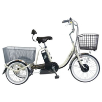 PELTECH 電動アシスト三輪車 前輪20型/後輪16型 ベージュ TDR-163L-BE-8AH
