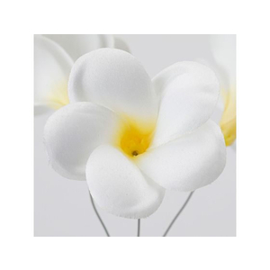 東京堂 造花 カレンプルメリアピック #37 CREAM クリーム FC533RB-FM000973-037-イメージ2