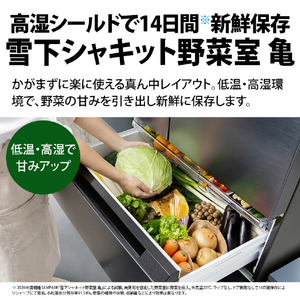 SHARP 【フレンチドア】607L 冷蔵庫 FiT63cmシリーズ冷蔵庫 ダスクダークメタル SJ-MF61R-H-イメージ6