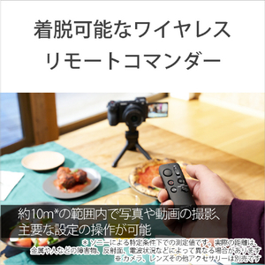 SONY ワイヤレスシューティンググリップ/三脚 ホワイト GP-VPT3W-イメージ12