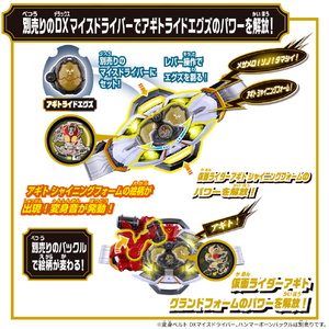 バンダイ DXレジェンドライダーエグズセット 1 DXLﾗｲﾀﾞ-ｴｸﾞｽﾞｾﾂﾄ01-イメージ3