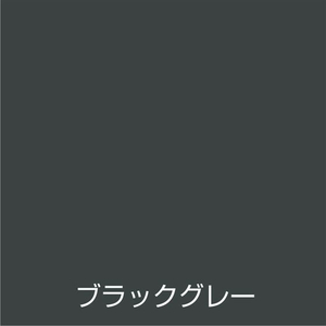 アトムサポート アトムペイント/水性スプレー 300mL ブラックグレー FC664SM-イメージ2
