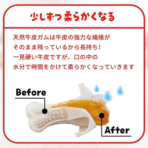 スペクトラムブランズジャパン ディンゴ チキンボーンストロング L 1本入 FCE741T-イメージ5