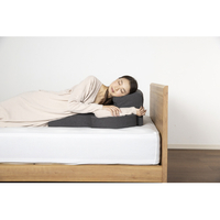 フランスベッド　スノーレスピローミニ フランスベッド まくら スノーレスピローミニ【公式通販】