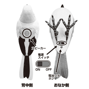 TKSK TK-171 日本の野鳥 メジロ TK171ﾆﾎﾝﾉﾔﾁﾖｳﾒｼﾞﾛ-イメージ12