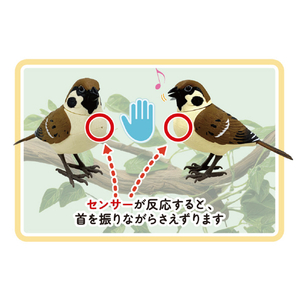 TKSK TK-171 日本の野鳥 メジロ TK171ﾆﾎﾝﾉﾔﾁﾖｳﾒｼﾞﾛ-イメージ3
