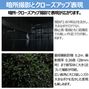 キヤノン 広角ズームレンズ RF16-28mm F2.8 IS STM RF1628F2.8ISSTM-イメージ10