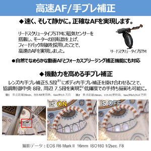 キヤノン 広角ズームレンズ RF16-28mm F2.8 IS STM RF1628F2.8ISSTM-イメージ11