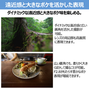 キヤノン 広角ズームレンズ RF16-28mm F2.8 IS STM RF1628F2.8ISSTM-イメージ9