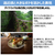 キヤノン 広角ズームレンズ RF16-28mm F2.8 IS STM RF1628F2.8ISSTM-イメージ9