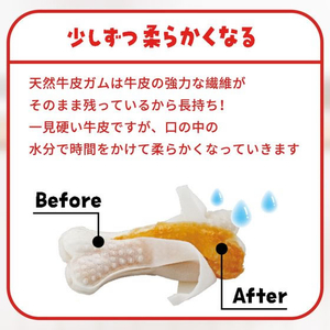 スペクトラムブランズジャパン ディンゴ チキンボーンストロング M 4本入 FCE742T-イメージ5
