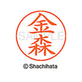 シヤチハタ ネームペン用ネーム シルバー 既製 金森 FC46510-X-GPS-0739