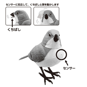TKSK TK-172 日本の野鳥 シマエナガ TK172ﾆﾎﾝﾉﾔﾁﾖｳｼﾏｴﾅｶﾞ-イメージ11