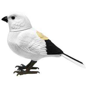 TKSK TK-172 日本の野鳥 シマエナガ TK172ﾆﾎﾝﾉﾔﾁﾖｳｼﾏｴﾅｶﾞ-イメージ7