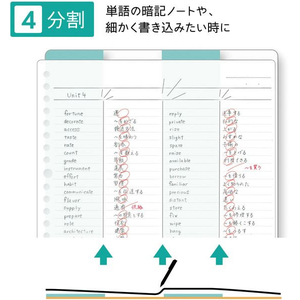 クツワ わけありしたじき 4分割 ミント FC647SY-VS027MT-イメージ2