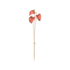 東京堂 造花 サティナアンスリウムバンドル #28 TERRACOTTA テラコッタ FC535RB-FM000422-028-イメージ1