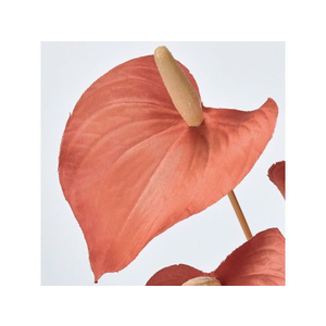東京堂 造花 サティナアンスリウムバンドル #28 TERRACOTTA テラコッタ FC535RB-FM000422-028-イメージ2