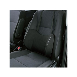 ボンフォーム ドライブマスターEX 48×28cm 背当サポート FCS1676-5660-74BK-イメージ2