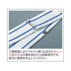 テザック TESAC/耐化学薬品用スリングJIS2等級両端アイ形50幅×4.5 FC491HM-7931531-イメージ2