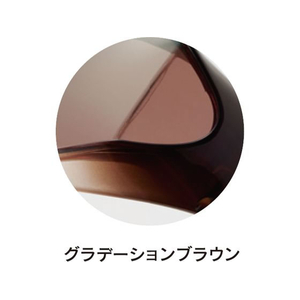 アックス オーバーサングラス FCD949J-SG604P-GBR-イメージ2