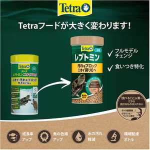 スペクトラムブランズジャパン テトラ レプトミン 小粒 70g FCE743T-イメージ6