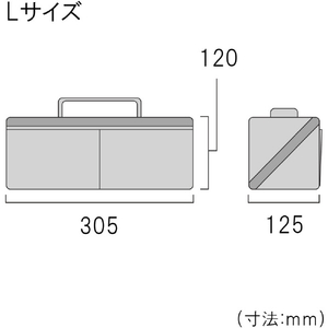 フジ矢 ヒッポケース Ｌサイズ アイスグレー FTC2-LIG-イメージ6