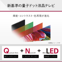 LGエレクトロニクス QNEDJQA V型4Kチューナー内蔵4K対応液晶