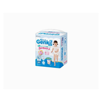 アイリスオーヤマ Genki!ふわもちタッチ Big大 24枚 FCE543M-GBP-BIGD24