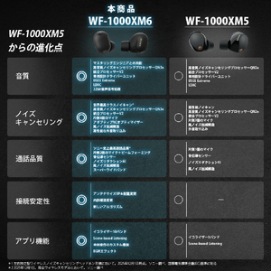 SONY ワイヤレスノイズキャンセリングステレオヘッドセット ブラック WF1000XM6 B-イメージ20