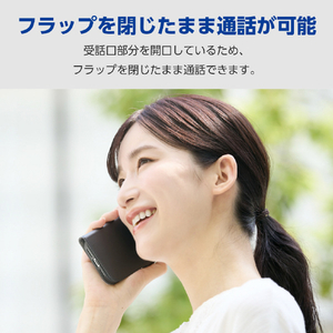 エレコム iPhone17用手帳型ケース 磁石付 耐衝撃 ブラック PM-A25APLFY3BK-イメージ4