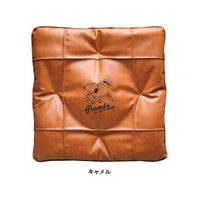 ボンフォーム スヌーピーチア2 45×45cm (綿入角) CA FCS1682-5711-06CA